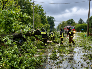 Una violenta tormenta azotó Cremona (Lombardía, Italia) la tarde del 28 de agosto de 2026, dejando techos arrancados, árboles caídos y vehículos dañados por granizo.